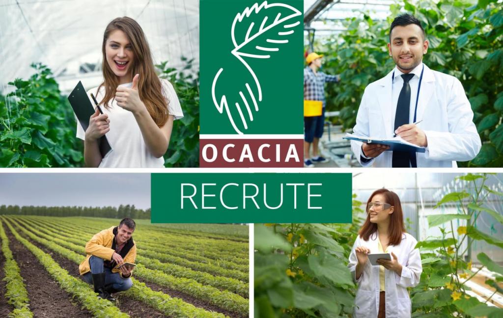 AUDITEUR.RICE - Région Champagne (H/F)
