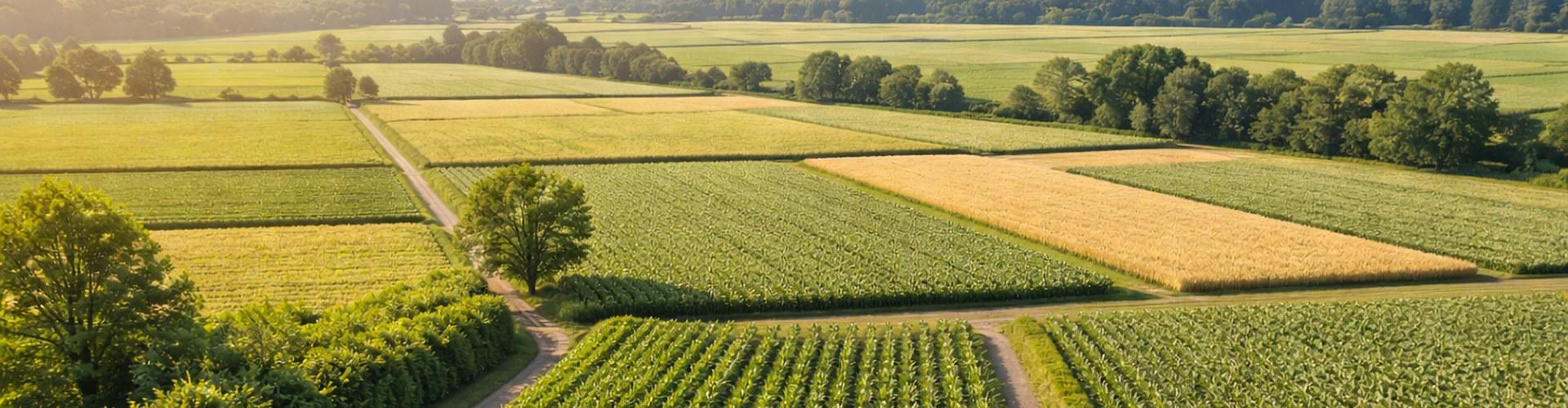 Accr�ditations et agr�ments