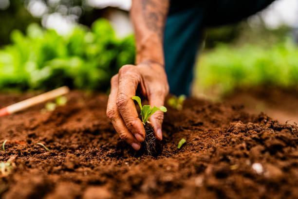 Certification en Agriculture Biologique : Valorisez vos engagements durables !