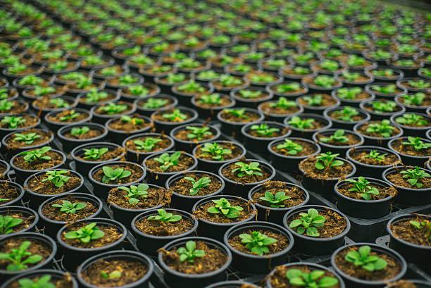 Certification Agriculture Durable et Environnementale : Valorisez vos engagements en faveur d’une agriculture plus respons