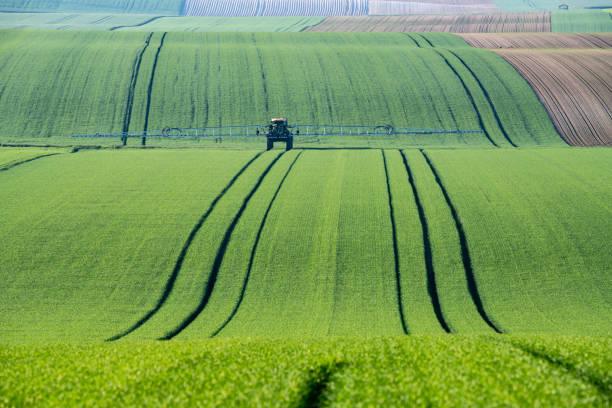 Certification Phytosanitaire : Assurez la Conformit et la Scurit de vos Pratiques! 